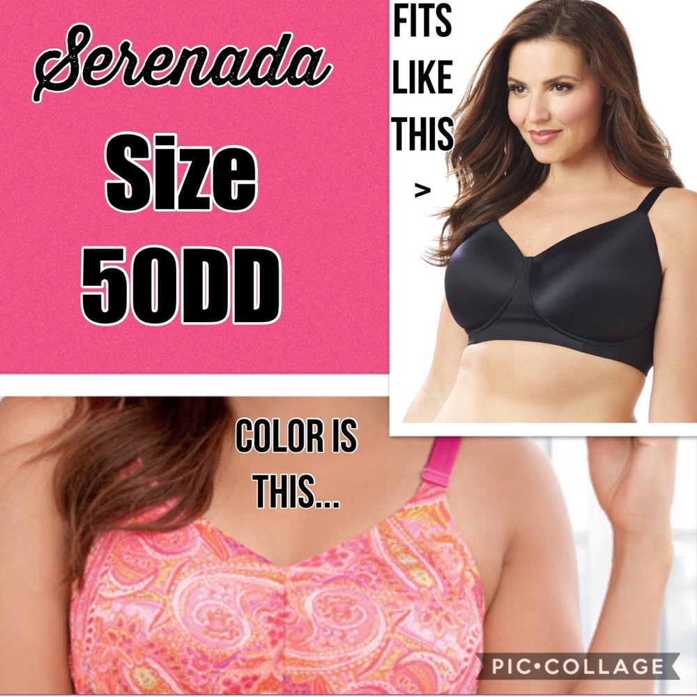 Black and Pink Bra - Size 50DD